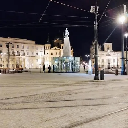 Manu Park Z Garazem Centrum Apartmán Lodž